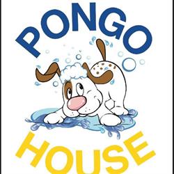 Pongo House, Alzate Brianza orari di apertura