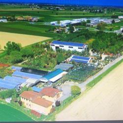 Rossi Giardini, Suzzara orari di apertura
