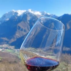 IndoVino - Az. Agr. Citterio Mattia, Casargo orari di apertura