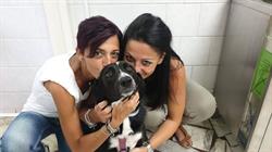 Ambulatorio Veterinario Imma & Ammi, Napoli orari di apertura