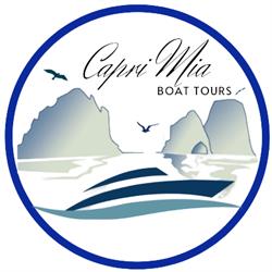 Capri Mia Boat Tours, orari di apertura