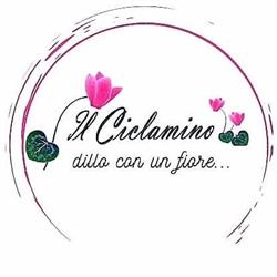 Il Ciclamino, Fiuggi orari di apertura