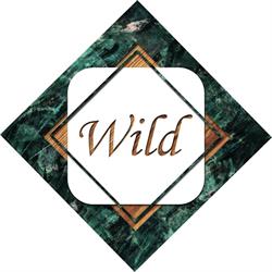 Wild Pescara, orari di apertura
