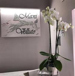 Mani Di Velluto Estetica, Cortona orari di apertura