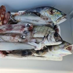 AMOR DI MARE - Pescheria, Castrignano de' Greci orari di apertura