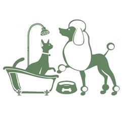 Coccole e Crocche, Montecatini-Terme orari di apertura