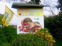 Frutta e Verdura BIO da Loretta, Verona orari di apertura