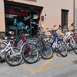 Ciclofficina Enzo, Cattolica orari di apertura