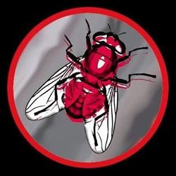 Mosca's Skin Tattoo, Senigallia orari di apertura