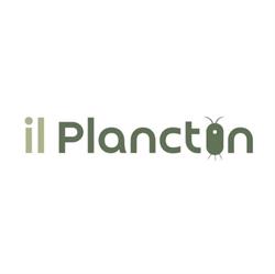 Hostel Il Plancton Vía Crescenzio 43, Roma orari di apertura