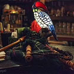 The Tucans pub, Bergamo orari di apertura