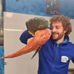 Pescheria_Dal_Roscetto, Montefiascone orari di apertura