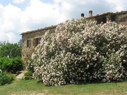 Agriturismo Ferienwohnungen Landgut Podere Carbone Toscana, Scansano orari di apertura