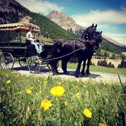 Scuderia Alpine friesian, Villa di Tirano orari di apertura