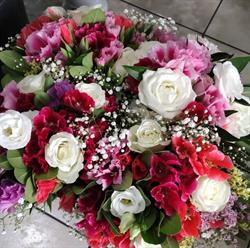 Piante fiori Mimmo, Roma orari di apertura