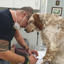 Ambulatorio Veterinario Dott.Luca Pasquali, Ascoli Piceno orari di apertura