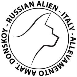 Russian Alien - Allevamento gatti della razza Don Sphynx, Bellinzago Novarese orari di apertura