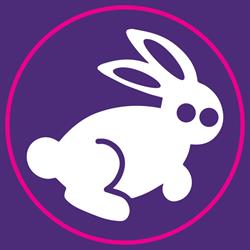 White Rabbit Acerra PET SHOP, orari di apertura