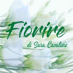 Fiorire, Caselle Torinese orari di apertura