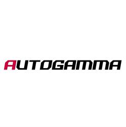 Autogamma Srls AUTOFFICINA, Brugherio orari di apertura