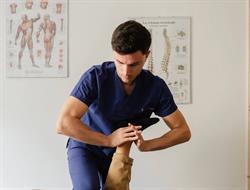 Dr. Stefano Nieddu Osteopata Alghero, orari di apertura
