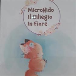 Asilo Nido Comunale Il ciliegio in fiore Lavagno, San Pietro - Orari di apertura