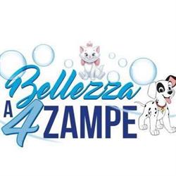 Bellezza a 4 zampe, Monsummano Terme orari di apertura