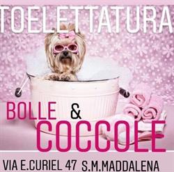 Toelettatura Bolle E Coccole, Occhiobello orari di apertura