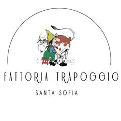 Fattoria Trapoggio, Santa Sofia orari di apertura