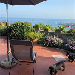 Casa “Geranio” e Casa “Limone”. Relax, privacy e comfort ad Ischia, Forio orari di apertura