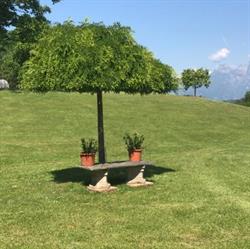 Agriturismo Antico Fienile, Belluno orari di apertura
