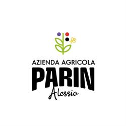 Azienda Agricola Parin Alessio, Vedelago orari di apertura