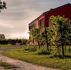 Agriturismo Corte Zecchina, Piove di Sacco orari di apertura