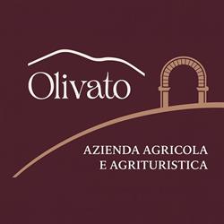 Agriturismo Olivato, Cinto Euganeo orari di apertura