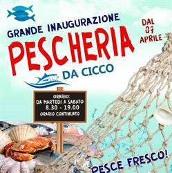 Pescheria Da Cicco, Roma orari di apertura