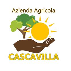 Azienda Agricola Cascavilla, San Giovanni Rotondo orari di apertura