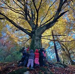 Azienda Agricola Bio e Fattoria Didattica Maso Canova, Vallelaghi orari di apertura