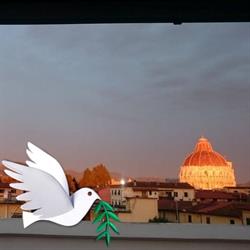 Alla Torre con Vista, Pisa orari di apertura