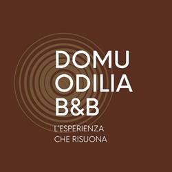 Domu Odilia L'esperienza che RiSuona, Serrenti orari di apertura