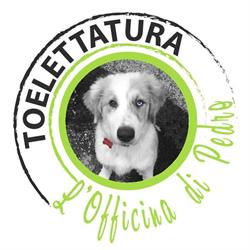 Toelettatura l’officina di Pedro, Camporgiano orari di apertura