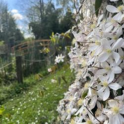 Organizzazione di volontariato La Pica - Giardino Botanico ODV, San Felice sul Panaro orari di apertura