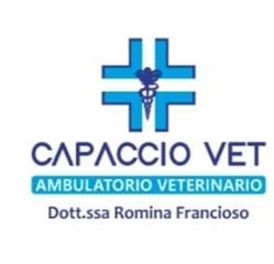Ambulatorio Veterinario CapaccioVet, orari di apertura