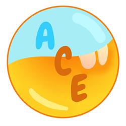 ACE s.r.l, Molinetto orari di apertura