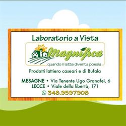 Laboratorio Magnifica quando il LATTE diventa Poesia, Mesagne orari di apertura