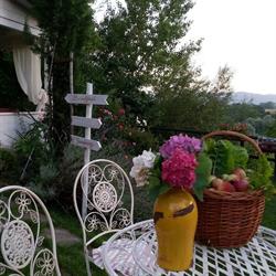 B&B Il Fienile di Scarperia, orari di apertura