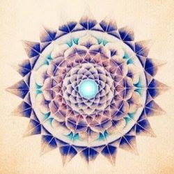 AlchemicaMente Studio di Psicologia Clinica e Psicoterapia, Frosinone orari di apertura