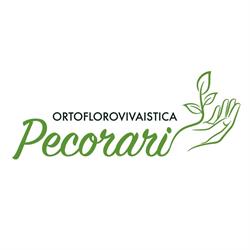 Ortoflorovivaistica Pecorari, Curtatone orari di apertura