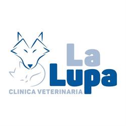 Clinica Veterinaria La Lupa, Rovato orari di apertura