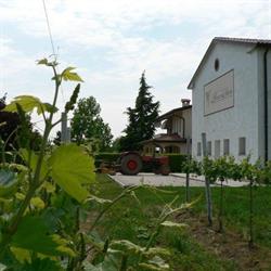 Azienda agricola Vini Rizzetto Dario, Fontanelle orari di apertura
