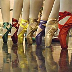 Parker Davies Dance School A.S.D, Caselle Torinese orari di apertura